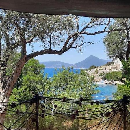 Apartmani Roganovic Luštica Εξωτερικό φωτογραφία
